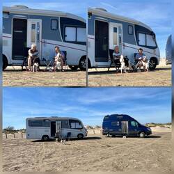 Selfieversuche mit Blick zur Kamera 🫣