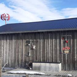 An Land deuten die Marienkäfer auf den nahenden Frühling