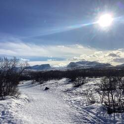 Es ist windiges Aprilwetter auf dem Weg zum See