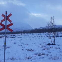 Rote Kreuze markieren den Winterweg des Kungsleden