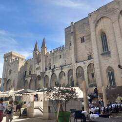 Le Palais des Papes.