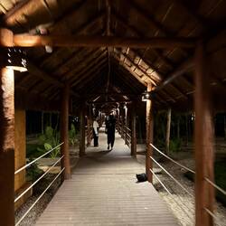 Boardwalk to the pool 🚶🏻‍♀️