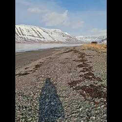 Vidéo-diaporama de la baignade à 2 degrés dedans et 0 dehors 😈💪🥶😂