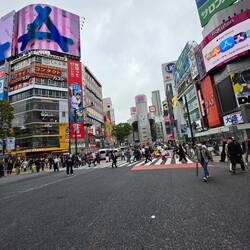 Shibuya Kreuzung von unten