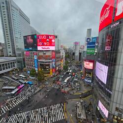 Shibuya Kreuzung aus der Mag's Park Rooftop