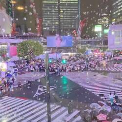 Shibuya Kreuzung beim Regen und im Abendlicht