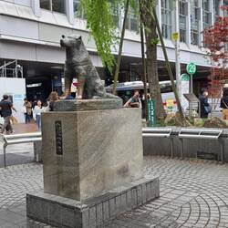 Hachiko Statue