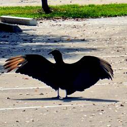 Interressantes Posing🤣