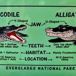 Endlich wird der Unterschied mal erklärt