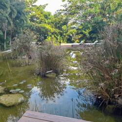 ...wunderschöne Gartengestaltung