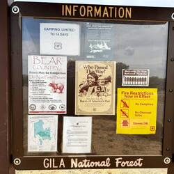 Ich wusste bis jetzt nicht, dass es hier auch Bären gibt.