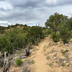 Nach dem Wasserdepot ging es so richtig streng bergauf.