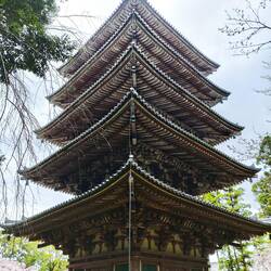 Daigo ji