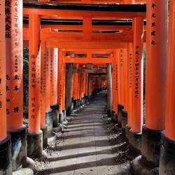 Fushimi Inari