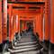 Fushimi Inari