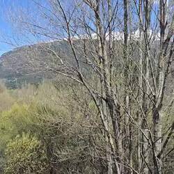 View from the South bridge.