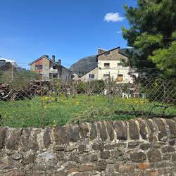 A yard in town with its own orchard just ready to bloom.