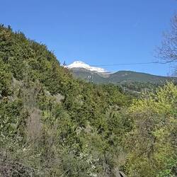 View from the north bridge.