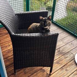 Erstes Welleness Wochenende für die Katz