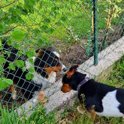 Oh, bellissima donna italiana! 💘