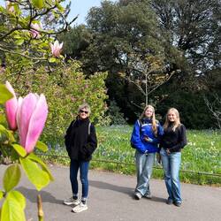 Im Magnolienhain