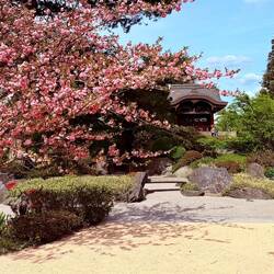 Japanischer Garten