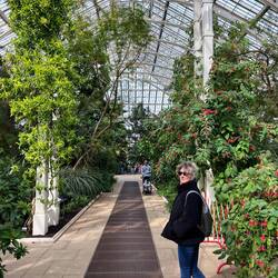 Temperate House