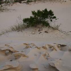 Little sand arches