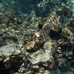 Gesicht & Kreuz obendrüber