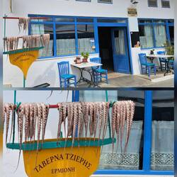 Hier werden die Tintenfische getrocknet?