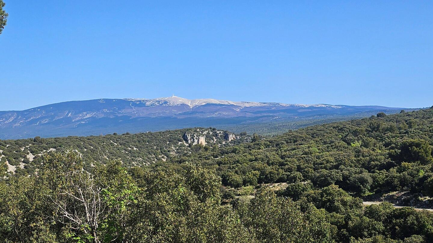 Und wie immer ist der Mont Ventoux dominant im Panorama