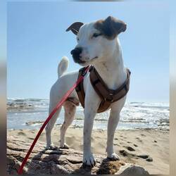 Für uns nur kurzes Fotoshooting