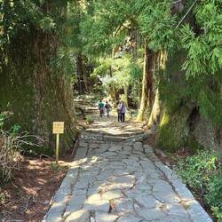 Trail up to Nachi falls and shrine. 800 year old cedar trees called husband and wife