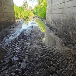 The fateful underpass