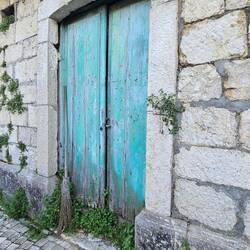 Do you see the witches broom?