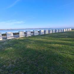 Die Vorbereitungen laufen