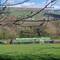 A lovely rural spot to moor in