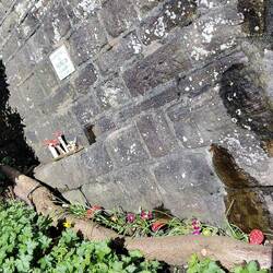 A little garden curated alongside the wall of Bridge 26