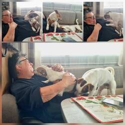 Louie wollte mit Ute kuscheln und Quentin mit Louie