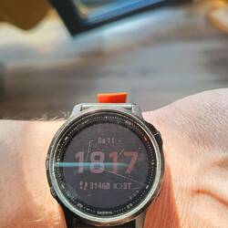 ca. 25 Km. Ich merke es in den Beinen.
