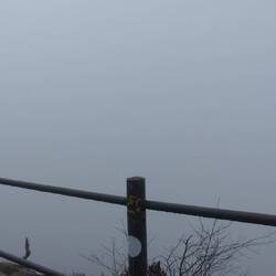 Aussicht ist hier nicht...
