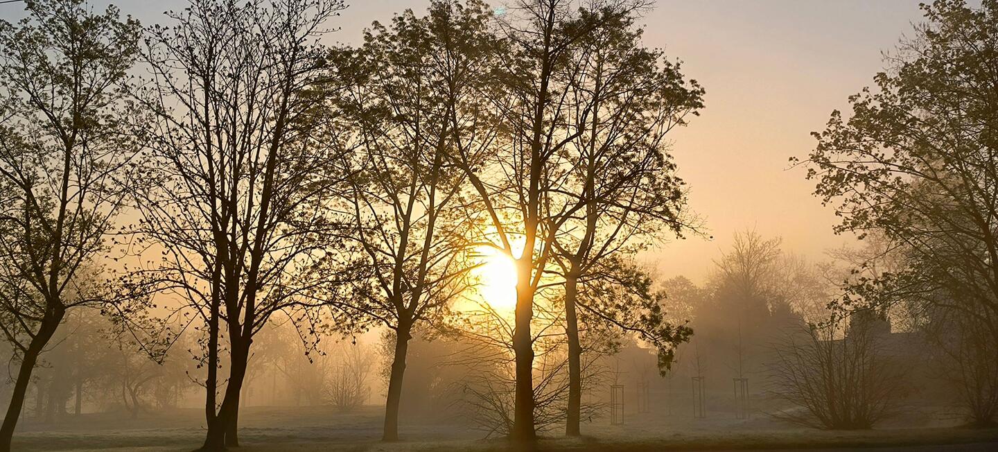 auf dem Weg zum Bahnhof 7.00 Uhr