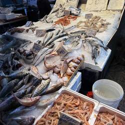 Fisch en masse