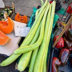 Zucchini mal in lang