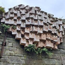 ??? Für Fledermäuse???