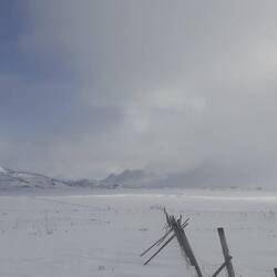 mit diesem Rentierzaun betrete ich das Land der Samen