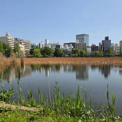 Ueno Park