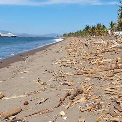 ... überlagert mit Strandgut