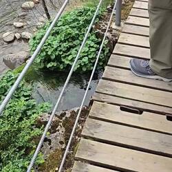 Part of the mill race