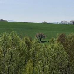 ....in der anderen Richtung ist der Ölberg im Siebengebirge zu sehen.